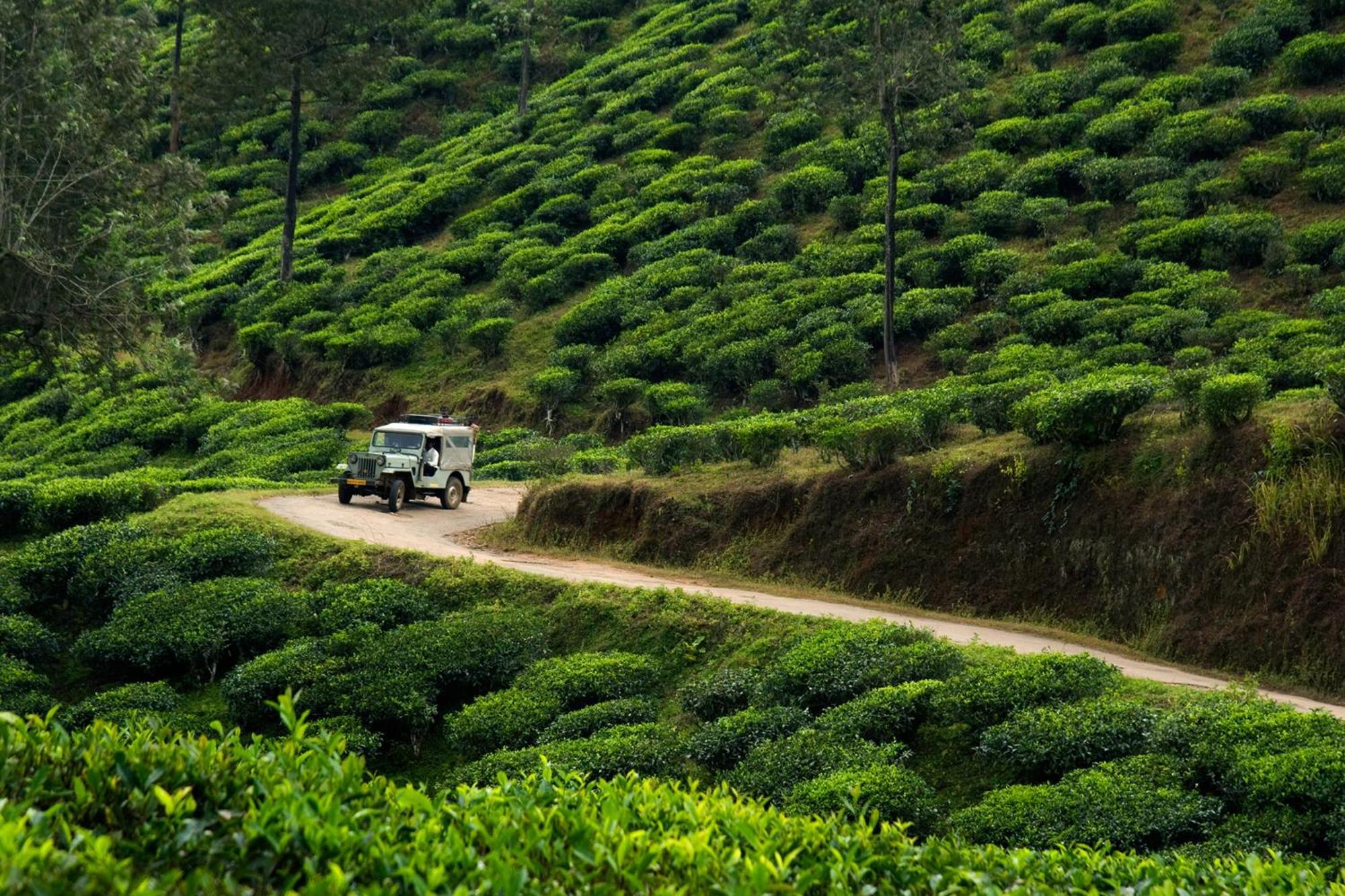 Spicegreen Homestay,Thekkady Exterior photo